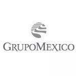 Grupo-Mexico-1.jpg